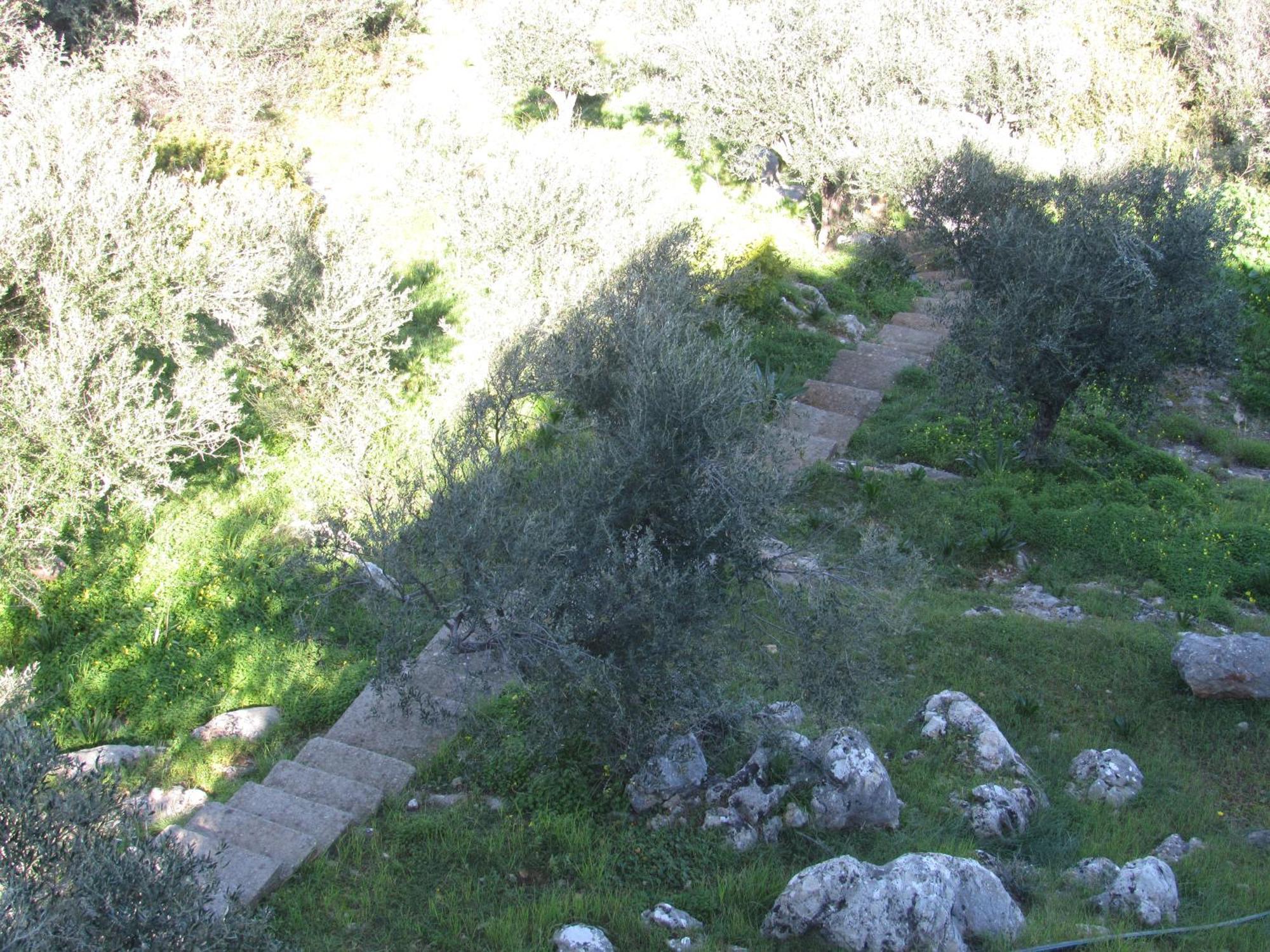 גיתיו Kallisto Studios מראה חיצוני תמונה